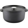 Cast Iron Black